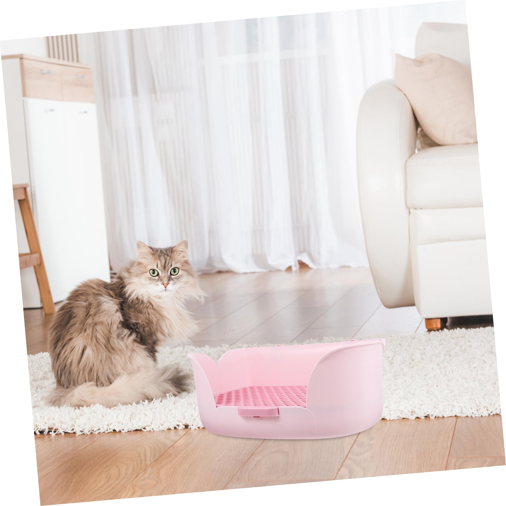Lettiera per Piccoli Animali Scatola Toilette per Conigli e Cavia Design Pratico e Colore Vivace per Ambienti Puliti e Confortevoli