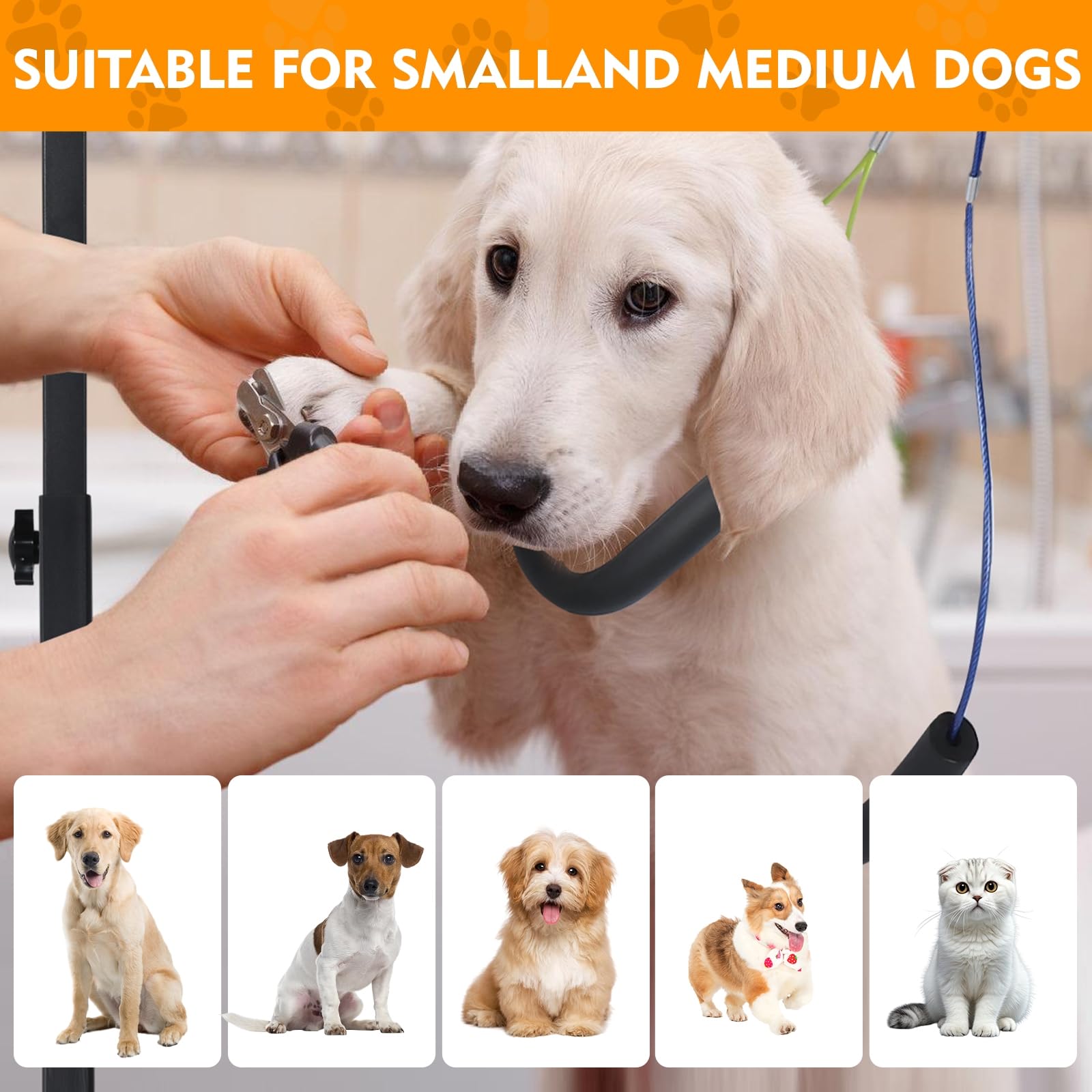 Bras de Toilettage avec Pince, Table de Toilettage Réglable pour Chien ou Animal de Compagnie - Soins des Poils et Coupe des Griffes, avec Anneau de Force et Deux Supports sans Assise