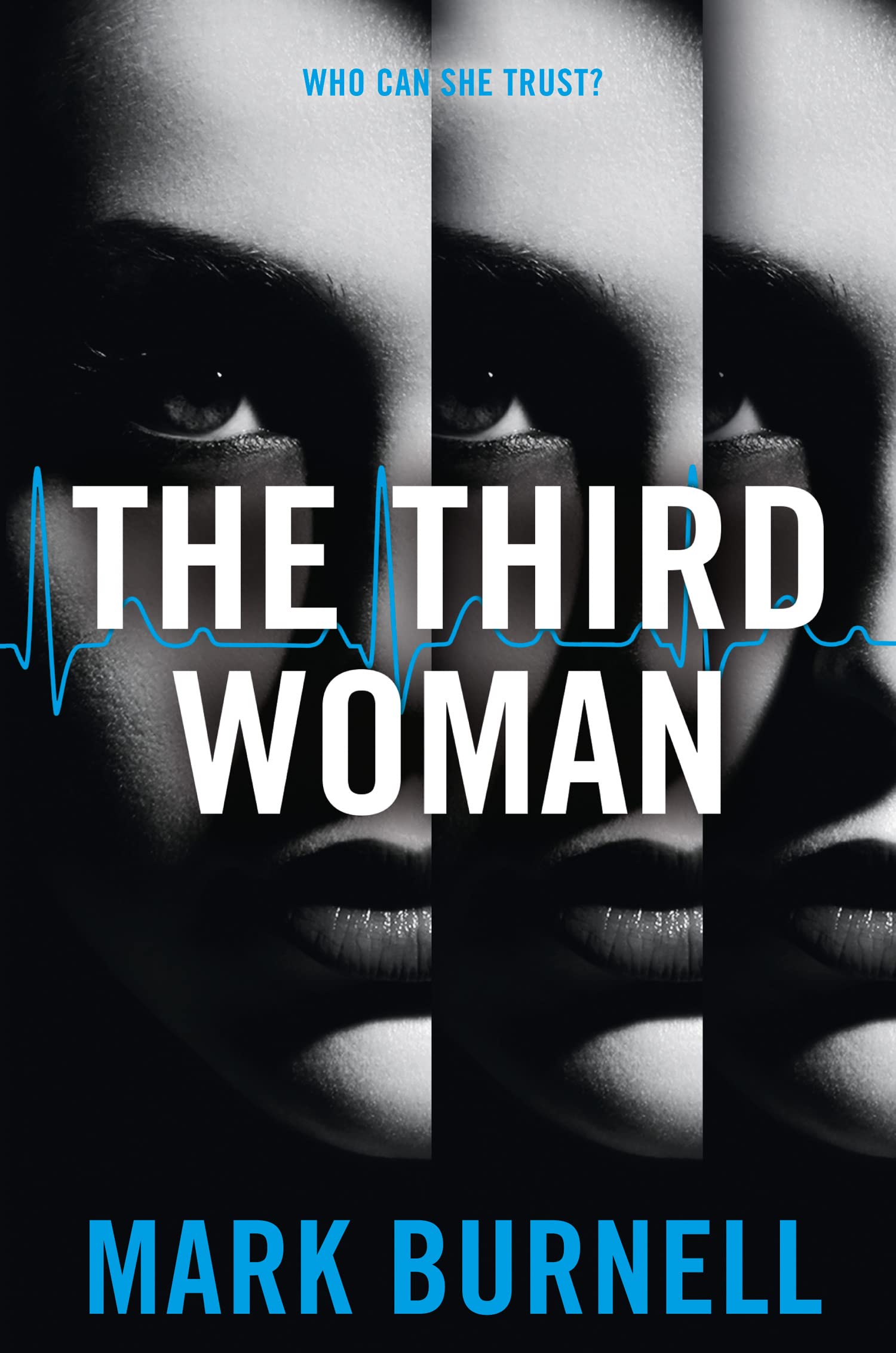The Stephanie Fitzpatrick series (4) — THE THIRD WOMAN: A Blockbuster Action Thriller of International Espionage: Book 4