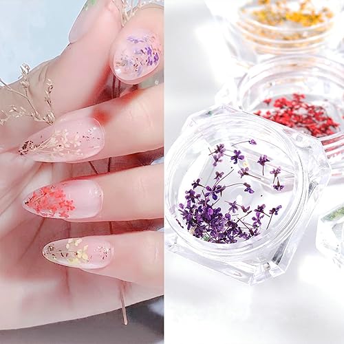Miniatura 5 de SILPECWEE 8 cajas de flores secas para uñas, mini flores de uñas reales 3D, flores secas, calcomanías de uñas, decoración de uñas, decoración de