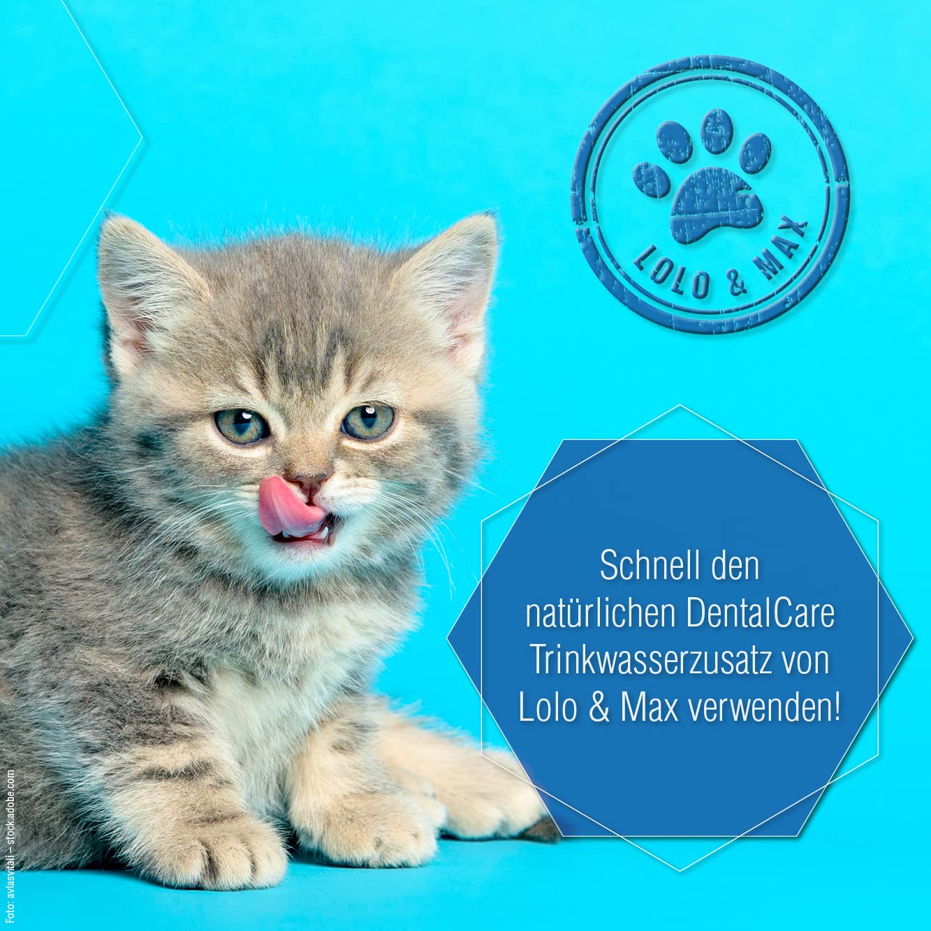 Lolo & Max natürliche Zahnpflege für Hund & Katze - DentaCare Trinkwasserzusatz zur Zahnreinigung für Haustiere - gegen Zahnbelag, Zahnstein & Maulgeruch - vegan - kein Mundgeruch mehr - 470ml