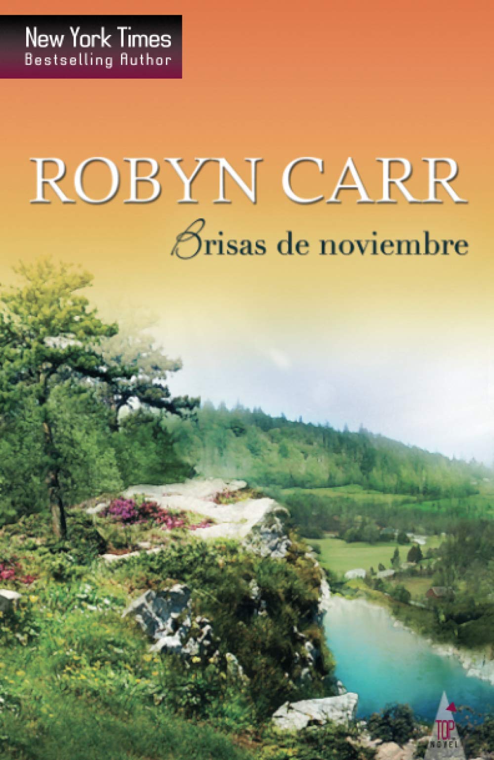 Buy Brisas de noviembre — BookShops.in