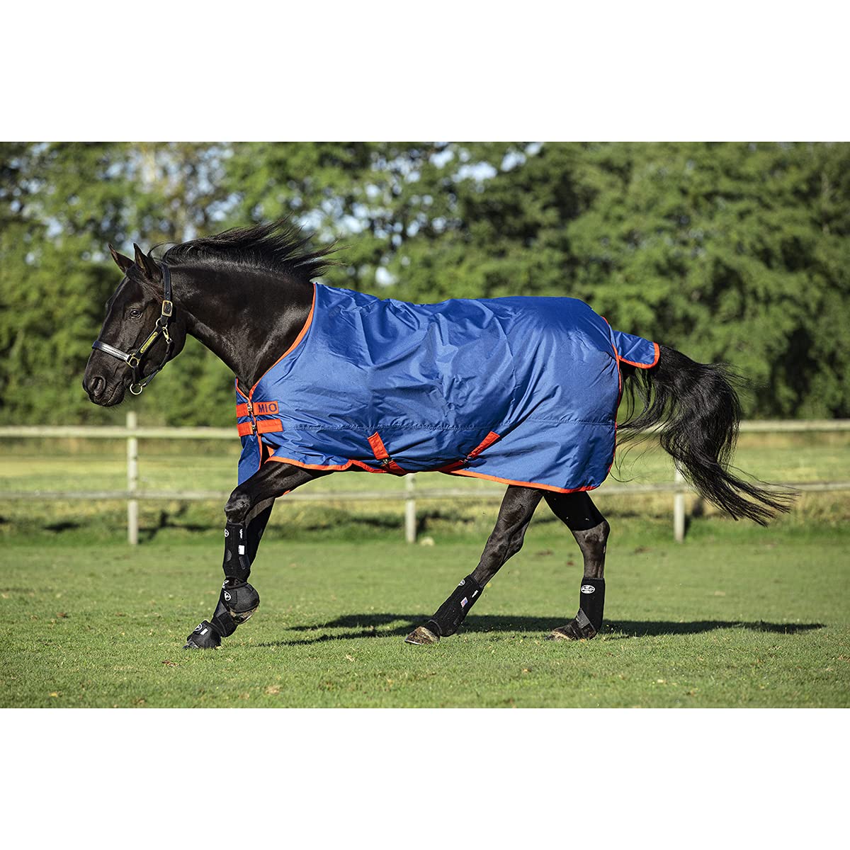 Horseware Mio Turnout Lite 0g - Dark Blue & Red