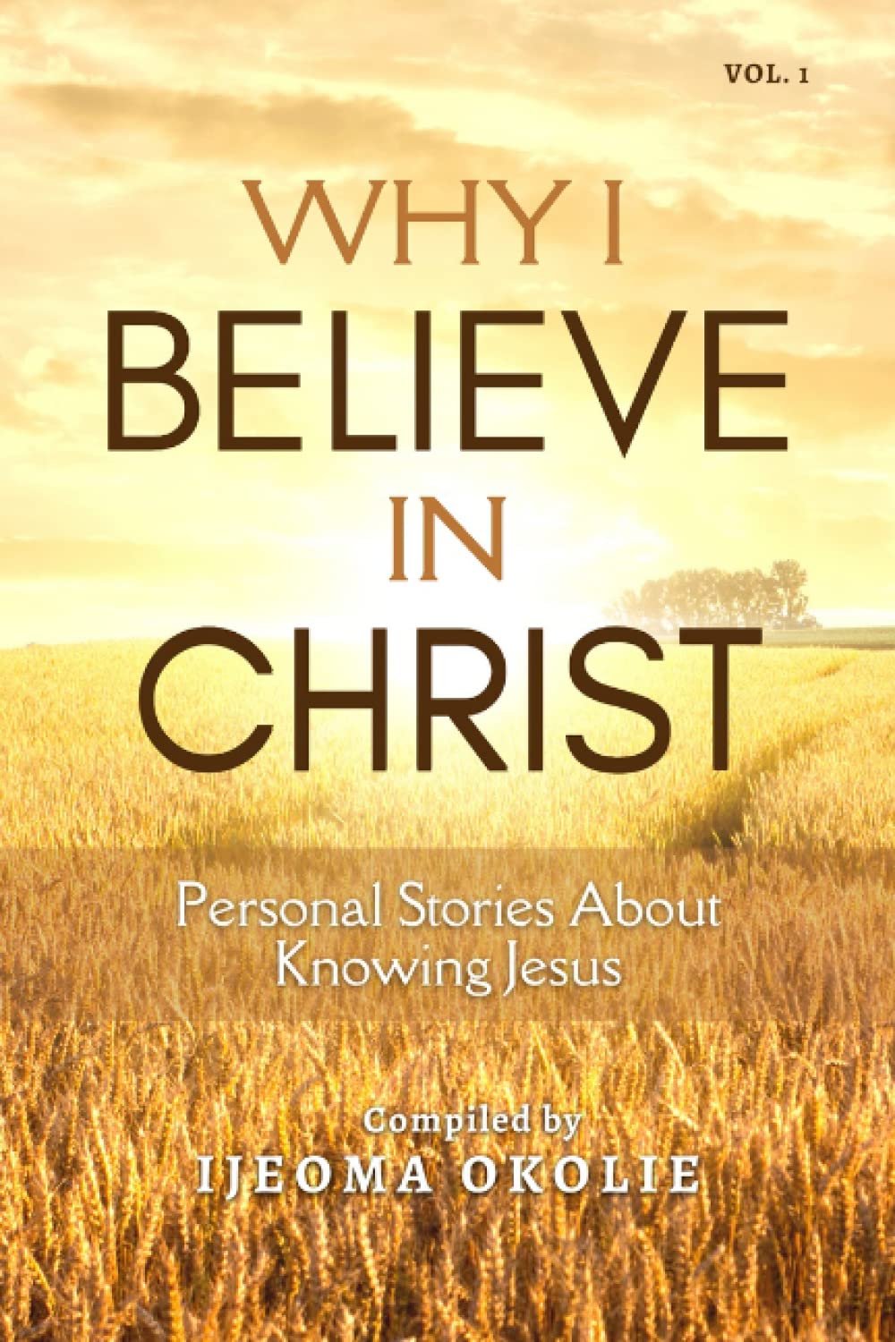 Why I Believe In CHRIST: Personal Stories About Knowing Jesus