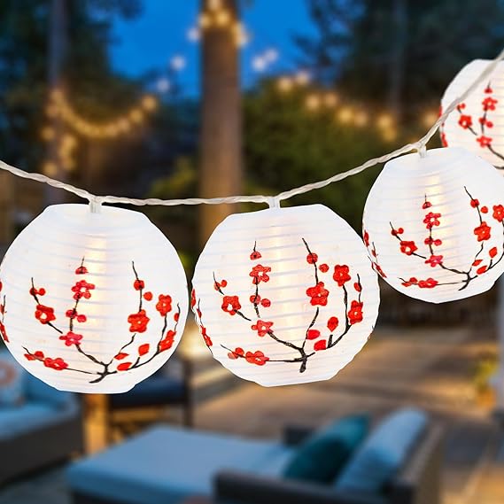 3rd day of chinese new year 2025