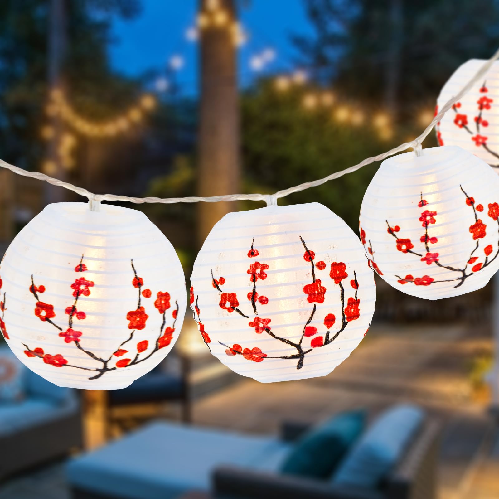 Amazon.com: Chinese New Year Decorations 2026 Lunar New Year