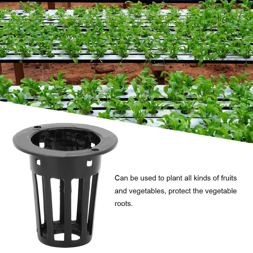 Vasi Idroponica 100 Pezzi - Retine Per Coltura Senza Suolo, Ideali Per Orchidee E Erbe - Foto 2