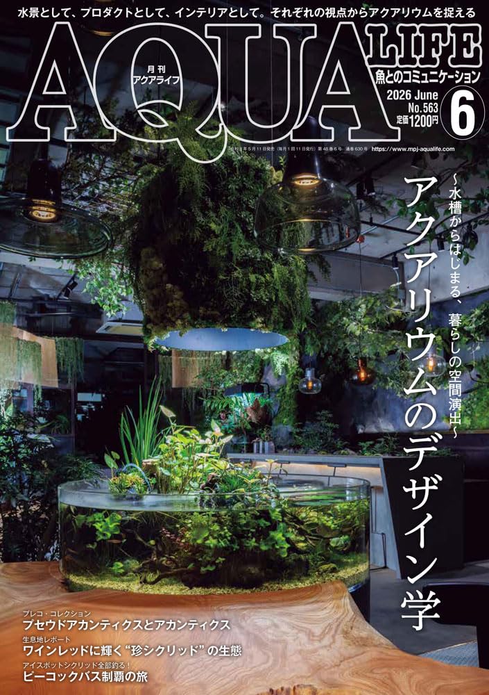 月刊アクアライフ 2026年6月号 アクアリウムのデザイン学 [雑誌