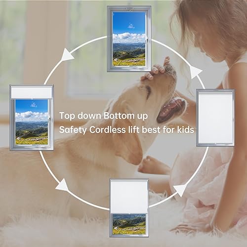 Miniatura 3 de Changshade - Cortina enrollable sin cordón y opaca, oscurecimiento de la habitación, persiana enrollada, para bloqueo de la luz, protección solar,