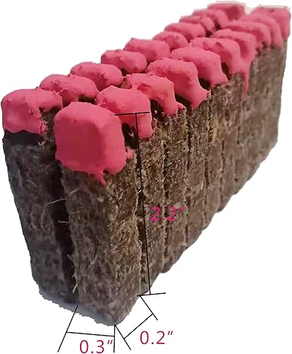 Miniatura 3 de eGreen Partidos de supervivencia impermeables y resistentes al viento – 20 palos de inicio de fuego recubiertos de cera en caja de lata – Larga