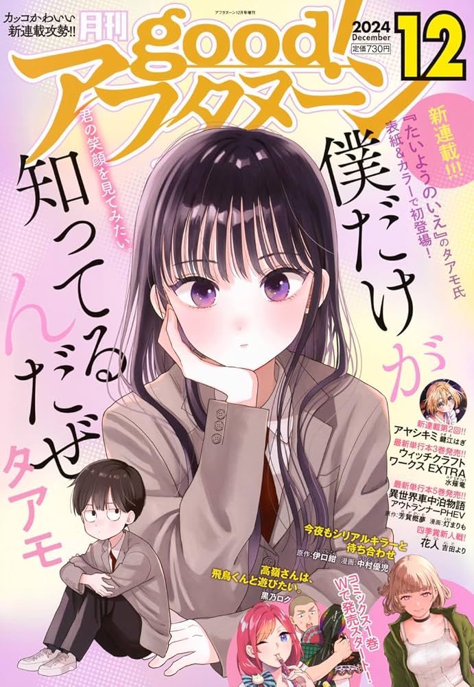 good!アフタヌーン 2024年12月号 Amazon.co.jp: 増AF good!アフタヌーン (2024年12月号) : 本