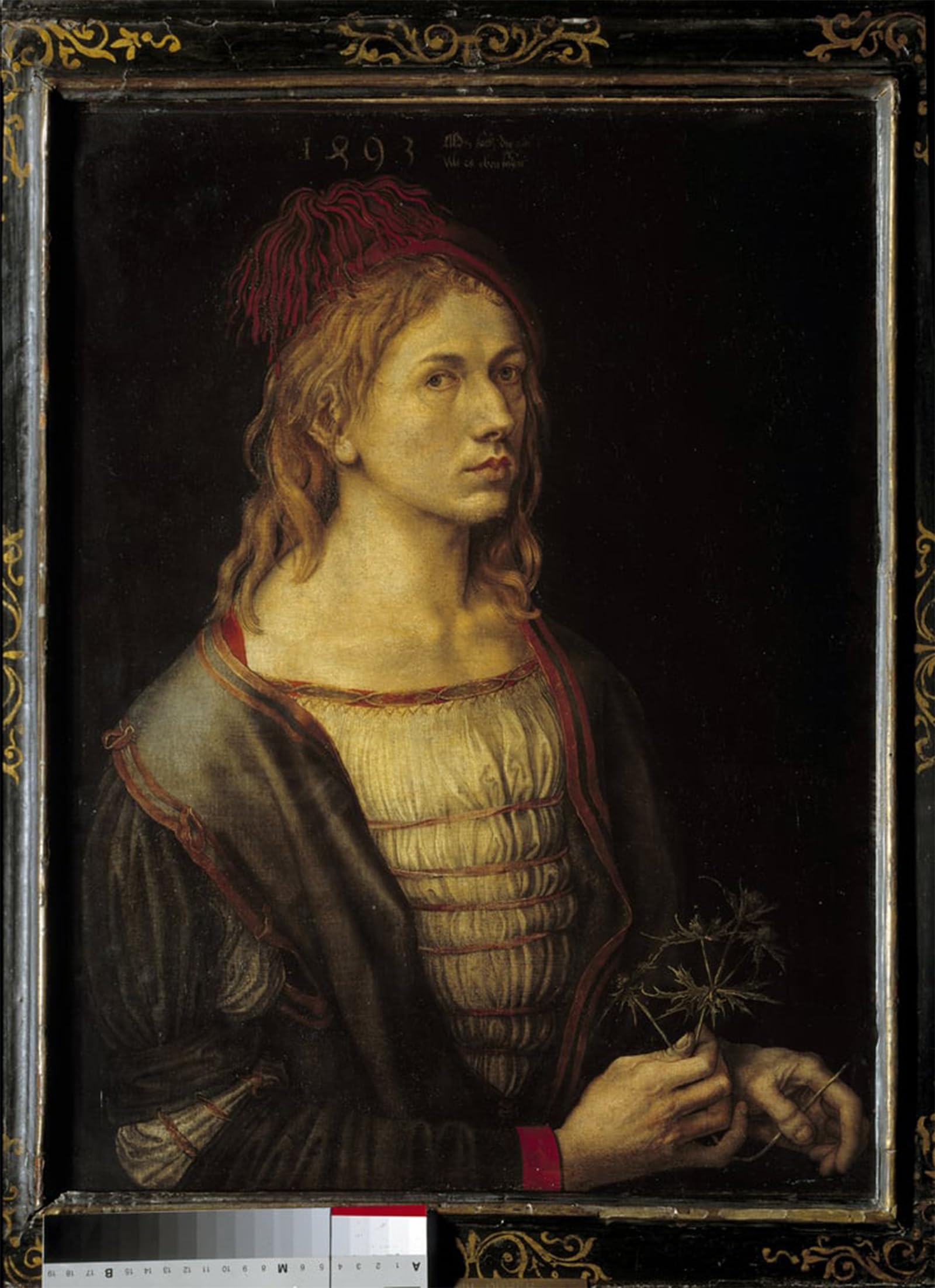 SERENDIPITP Retro Picture Poster Wall Art Pictures Painting Self Portrait with a Thistle by Albrecht Dürer or Duerer Wall Art Canvas Print for Wall Decor 60x90cm