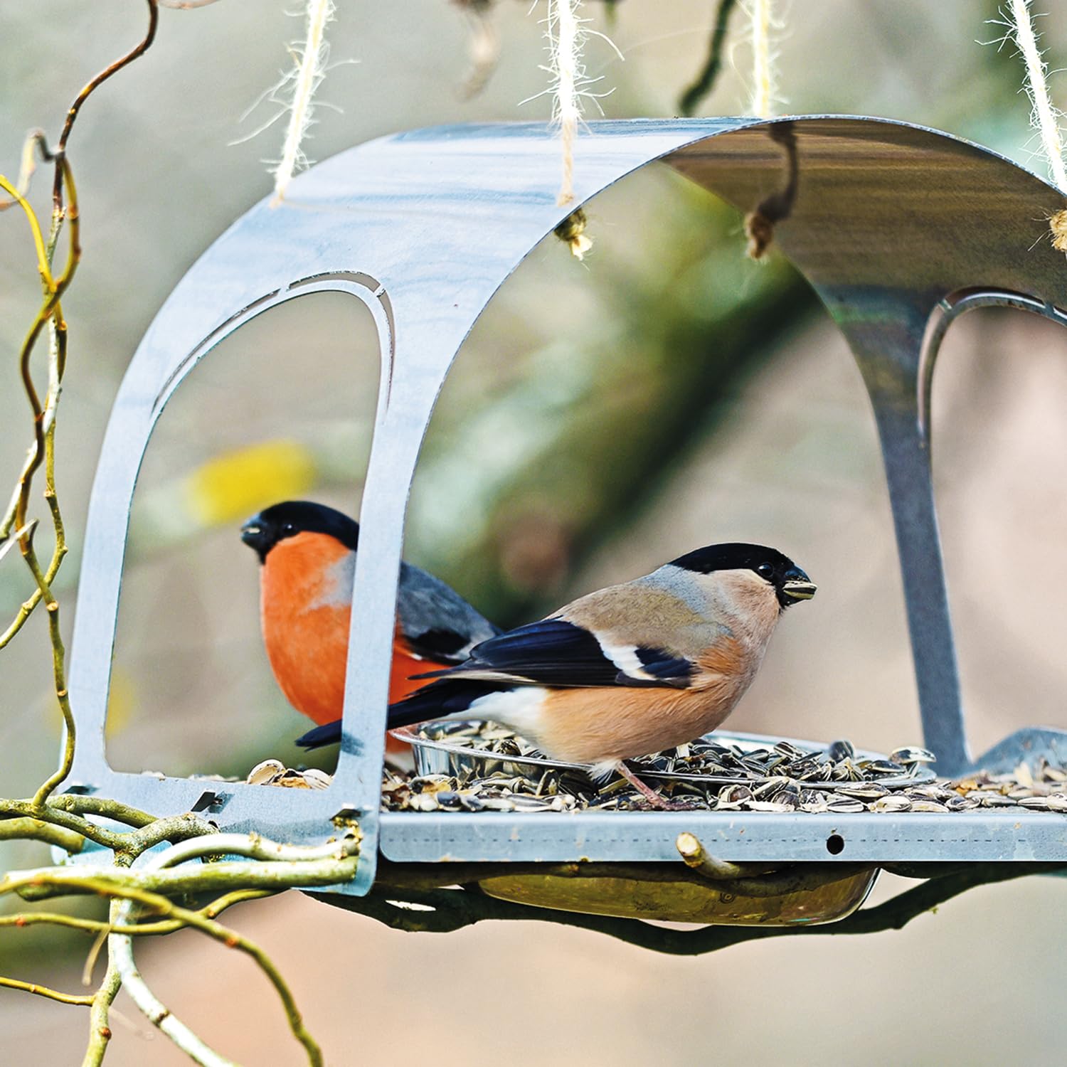 bellissa Vogelhaus SPATZI Vogelfutterhaus aus Metall Silber