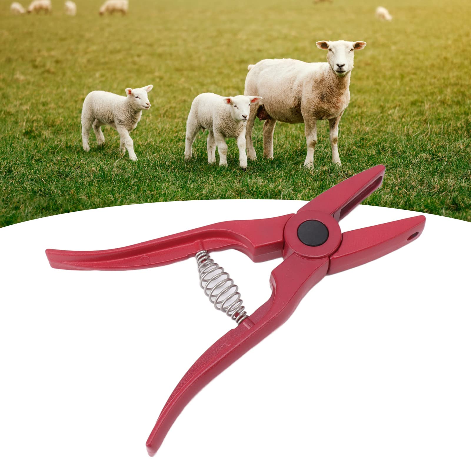 Pinza per Marchi Auricolari per Bestiame Bovini Ovini Piegata a metà Suini da Fattoria Capre Agnello Pieghevole con Pinza Applicatore Manico per Forniture di