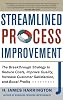 Streamlined Process Improvement 1st Edition