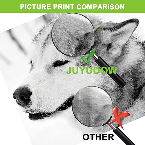 Miniatura 6 de MP C3503 MP C3003 - Cartucho de tóner compatible con Ricoh Aficio Lanier Savin MP C3503 C3003 C3004 C3504 (paquete de 4, BK, C, Y, M) Parte # 841813