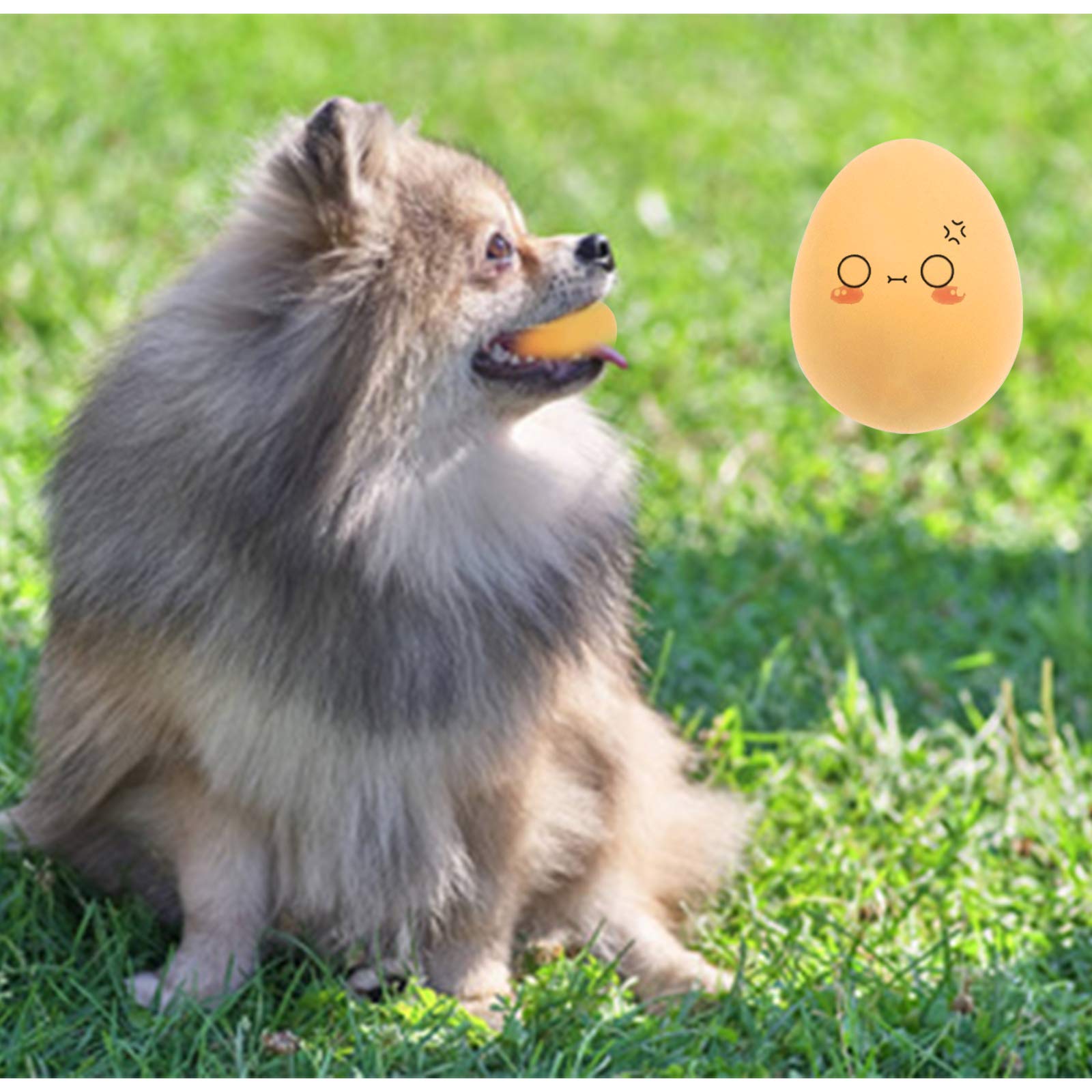 Andiker Dog Egg Toy 2pcs Soft Rubber Dog Ball Toy Interactive Puppy Toys for Small Dogs Fetch Play