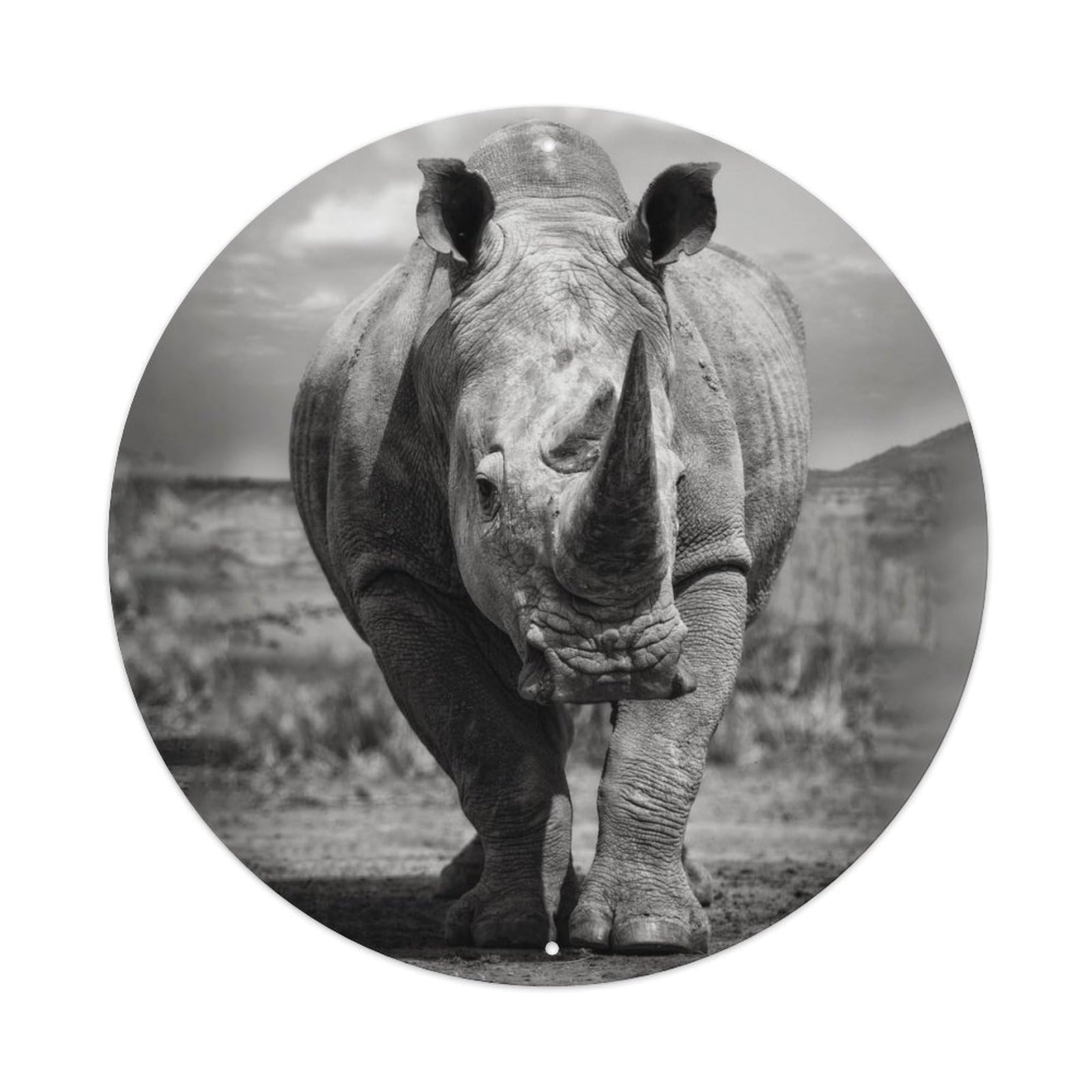 Animals Artwork Black And White Rhinoceros Vintage Metal Tin Sign Plaque Wall Decor for Cafe, Club Bar, Office, Garden Metal Poster 8x8Inch