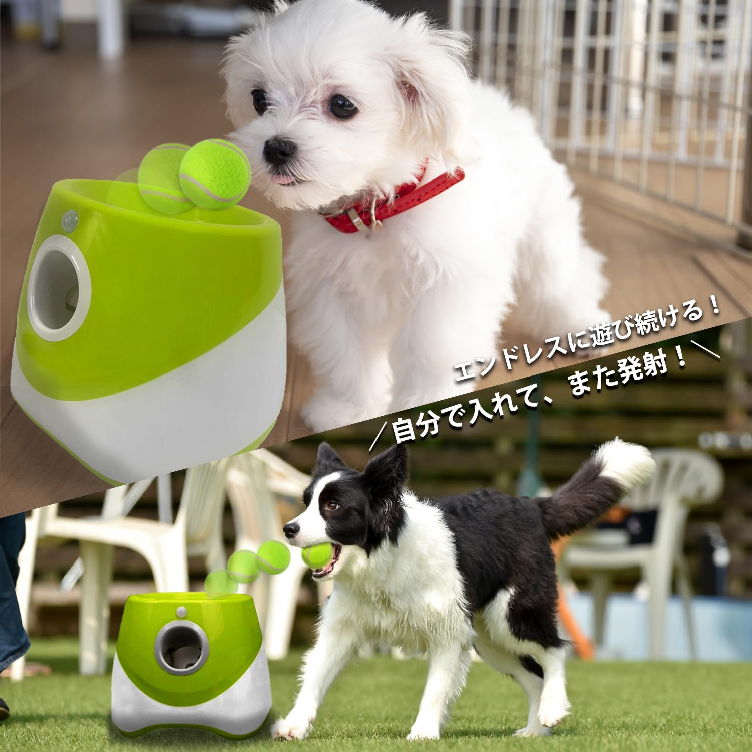 Amazon | 犬 ボールランチャー おもちゃ 自動 ひとりで遊べる！一人