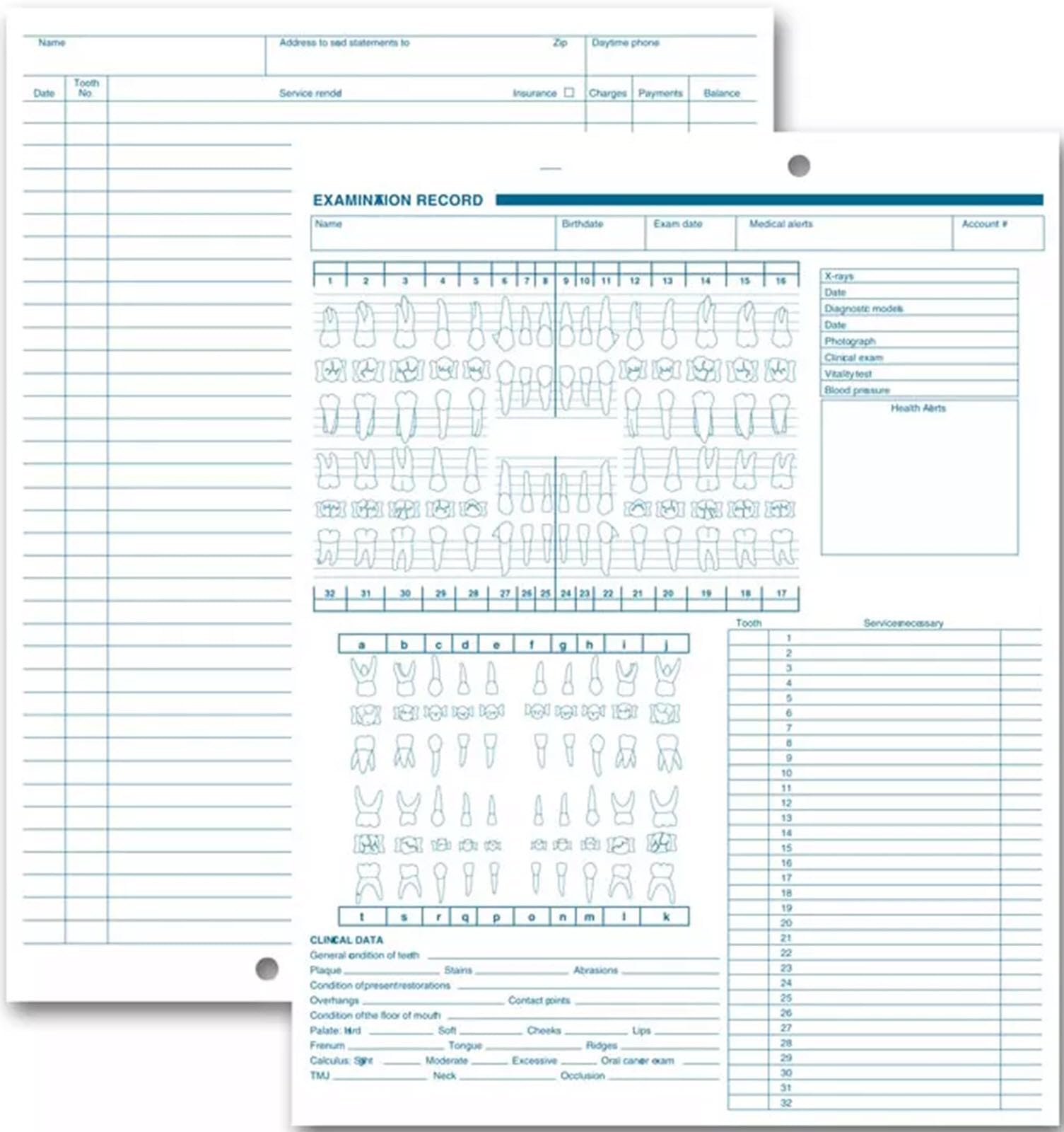 Dental Exam Record, Anatomic & Periodontics Diagrams, Vertical Layout, Quantity 250