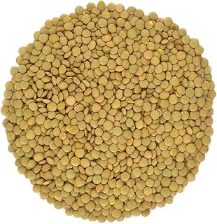 Organic Green Lentils Whole Raw, High Fiber Non-GMO-Bulk (5LB)