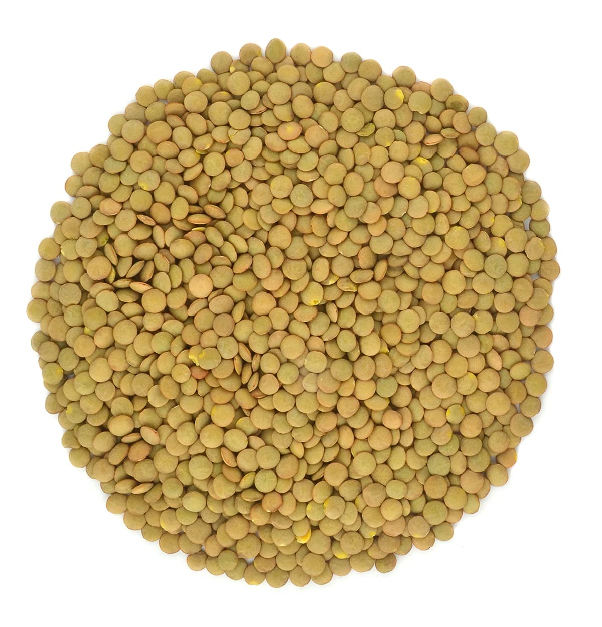 Organic Green Lentils Whole Raw, High Fiber Non-GMO-Bulk (7LB)