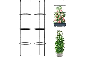 Blackberry Trellis: Versatile Plant Cages and Climbing Supports for Abundant Growth