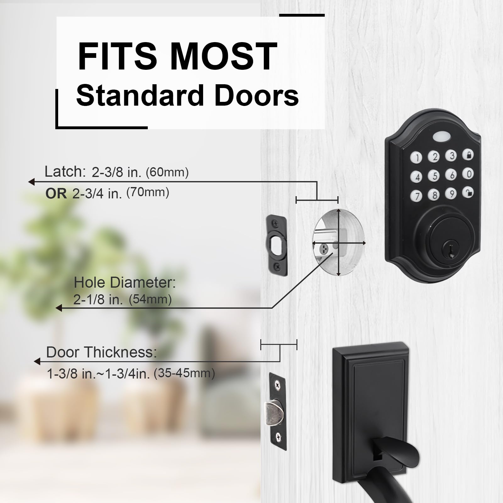 https://m.media-amazon.com/images/I/71Mle8qA46L.jpg