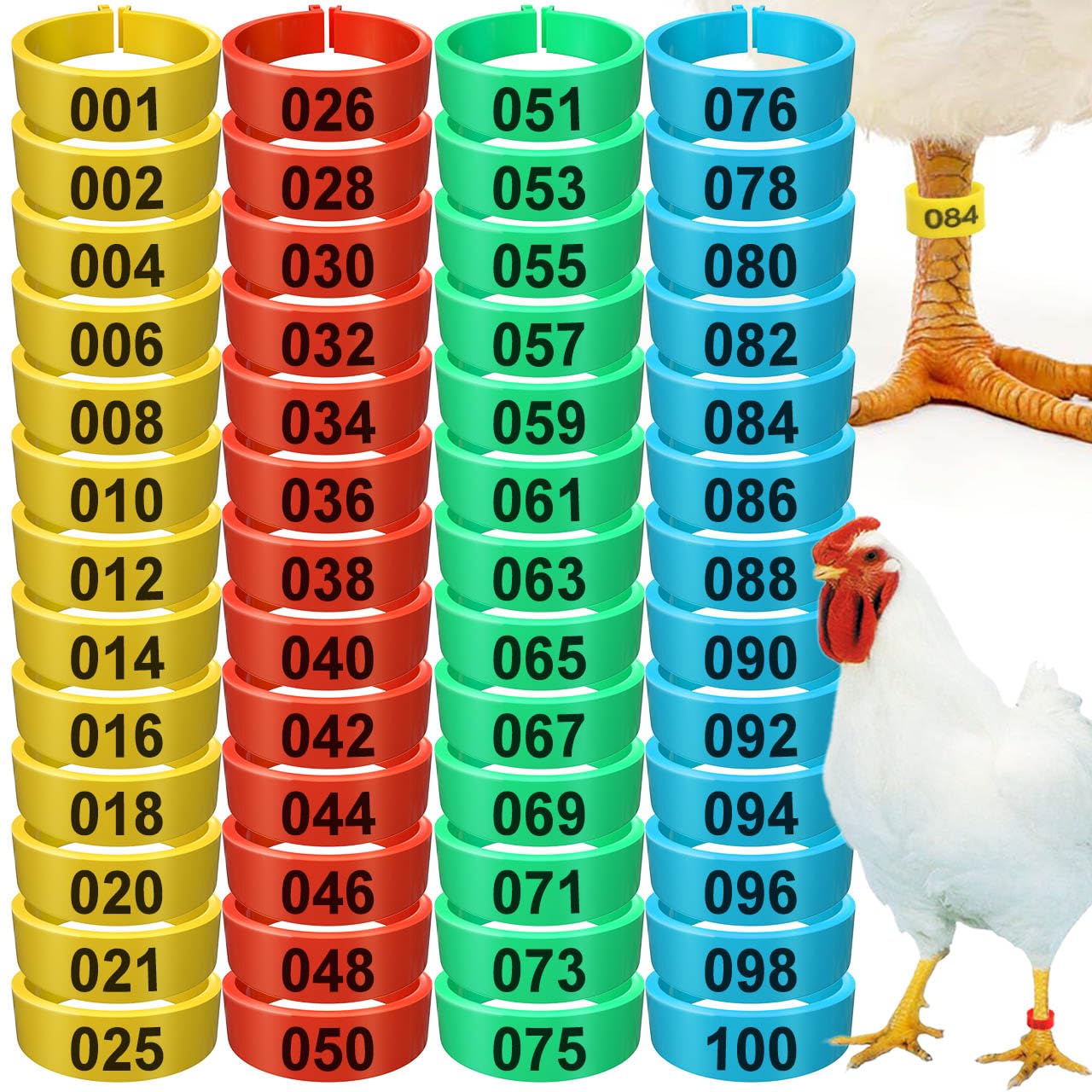 Hispqser 200Pcs Chicken Leg Bands, Multiple Color Poultry Identification Leg Rings Chicken Supplies Clip On Chicken Ankle Tags Numbered Feet Id Bands