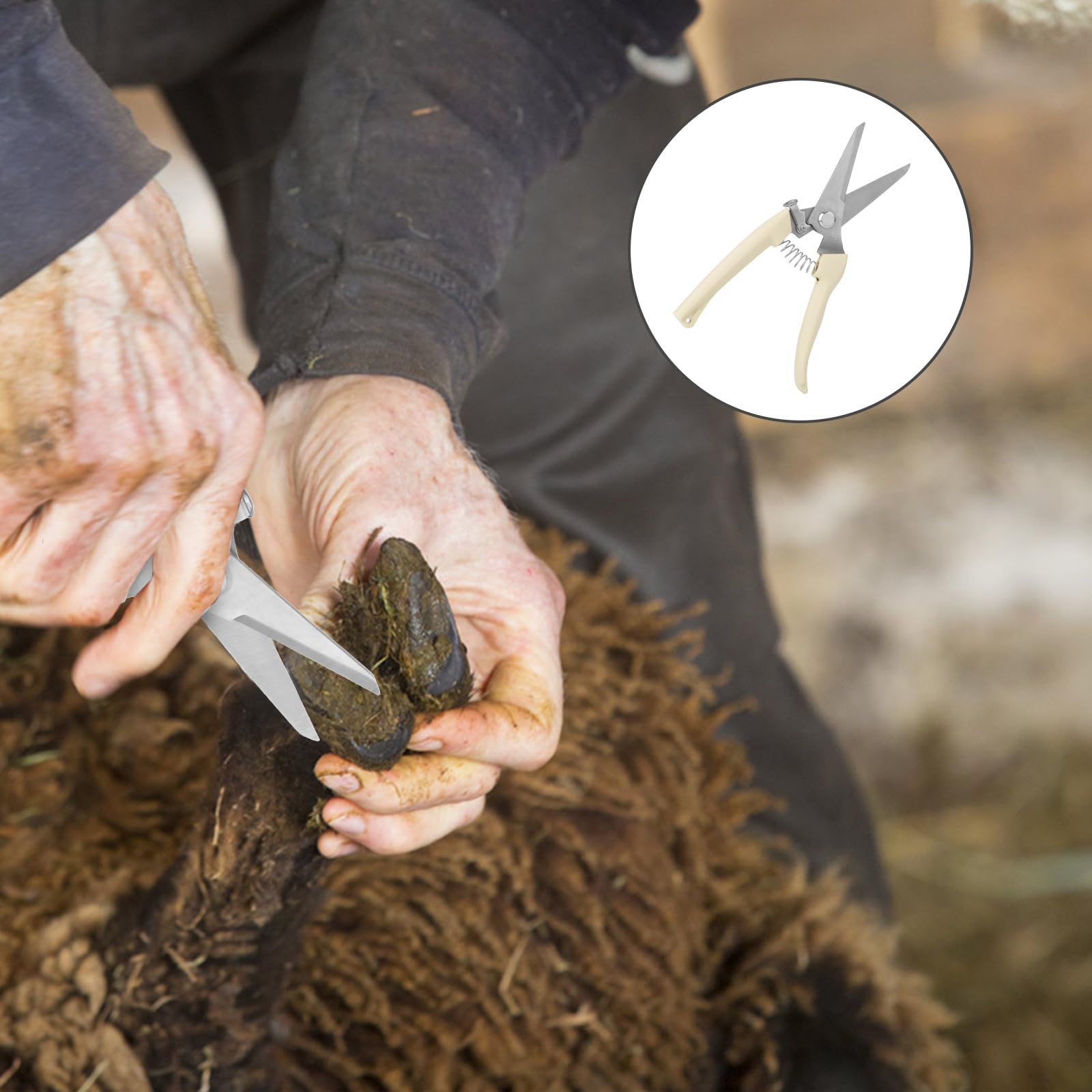 PEUTIER Coupe-Ongles de Chèvre, Outil de Coupe de Sabots en Acier Inoxydable avec Cisailles à Sabots à Ressort Coupe-Ongles de Mouton pour Cochon, Cheval, Bétail