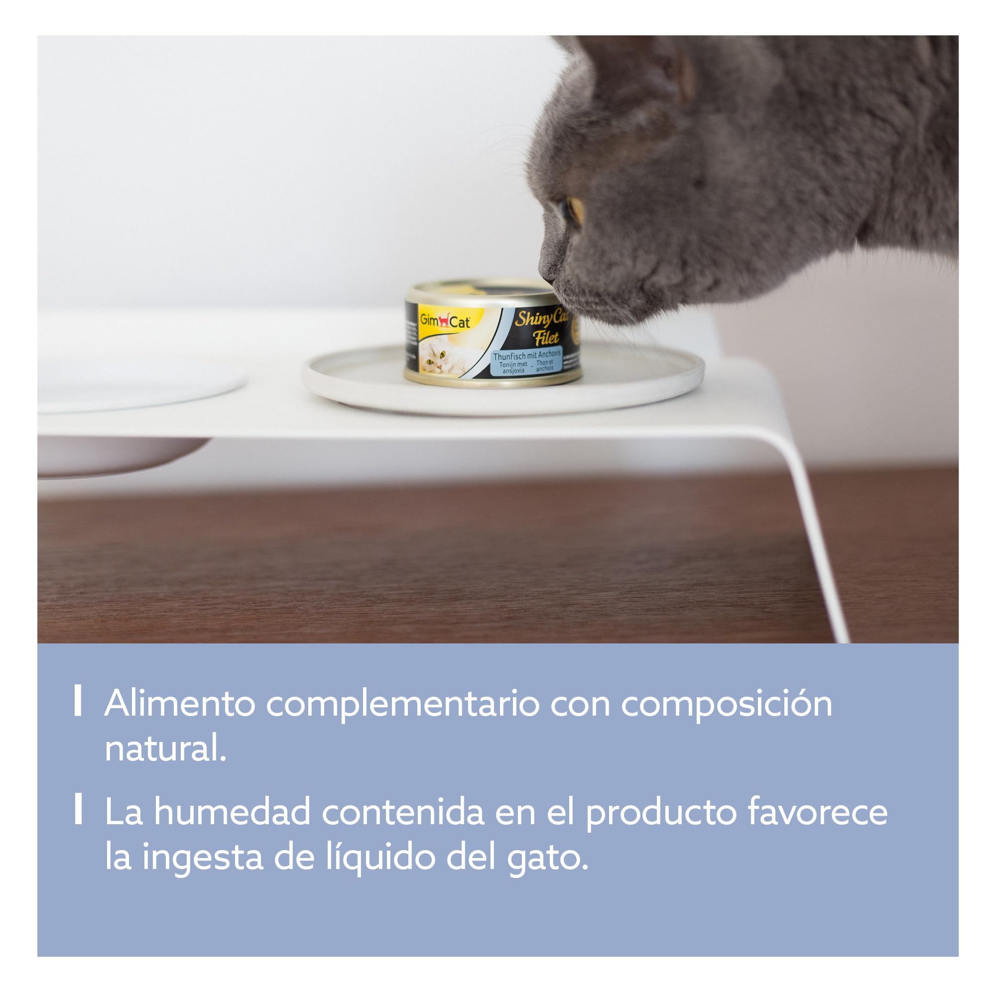 GimCat ShinyCat Filet atún con anchoas - Comida para gatos con jugoso filete y sin azúcar añadido, para gatos adultos - 24 latas (24 x 70 g)