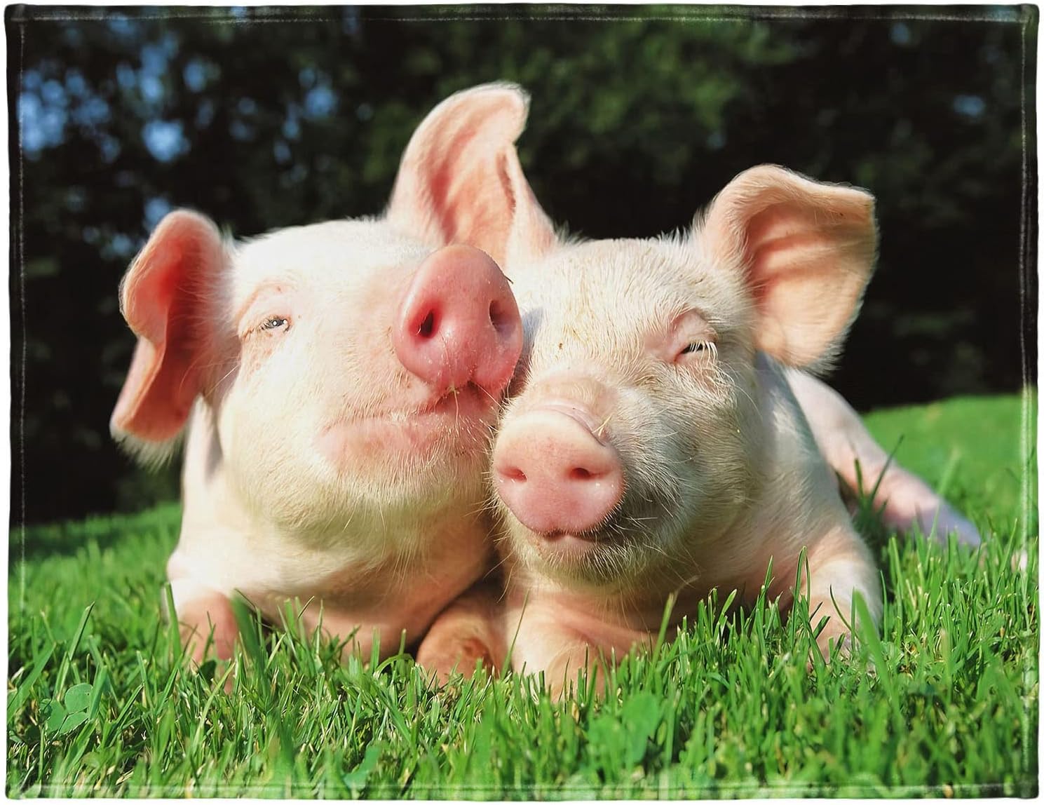 60x80 Blanket Comfort Warmth Soft Plush Throw for Couch Chicago Skyline Cityscape Illinois Nightime