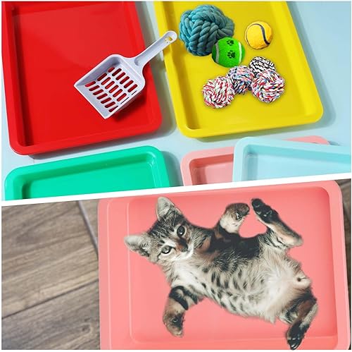 Miniatura 7 de 5 cajas de arena para gatos, cajas de arena para gatitos con espátula de arena, caja de arena poco profunda, bandeja de basura de plástico portátil,