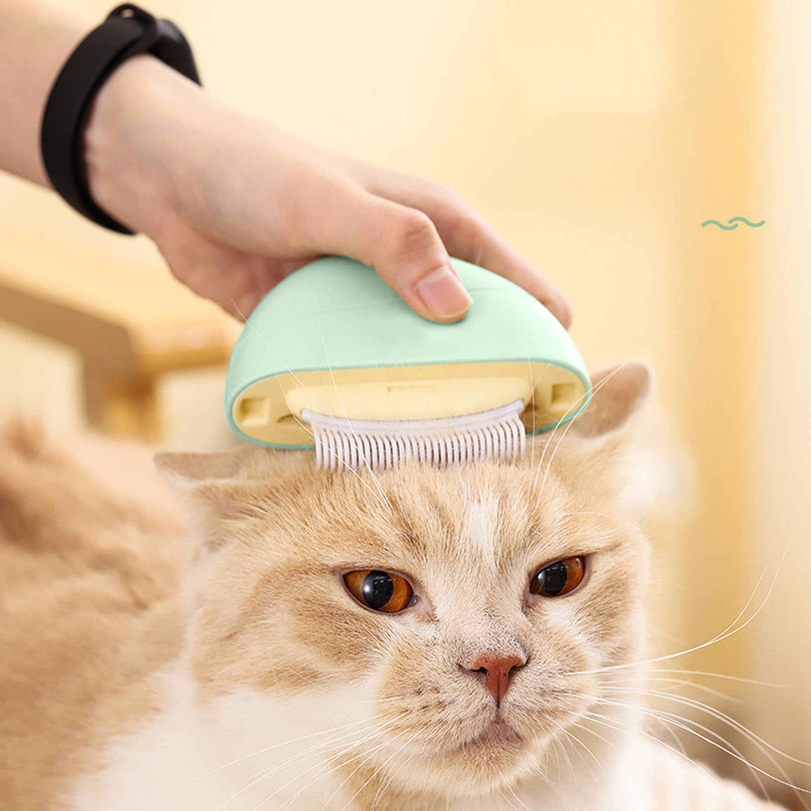 Brosse de Massage 4 en 1 pour Animaux de Compagnie, Brosse Chat, Brosse pour Chien, Brosse Chat Poil Longs et Courts, Brosse Universelle pour Animaux de Compagnie