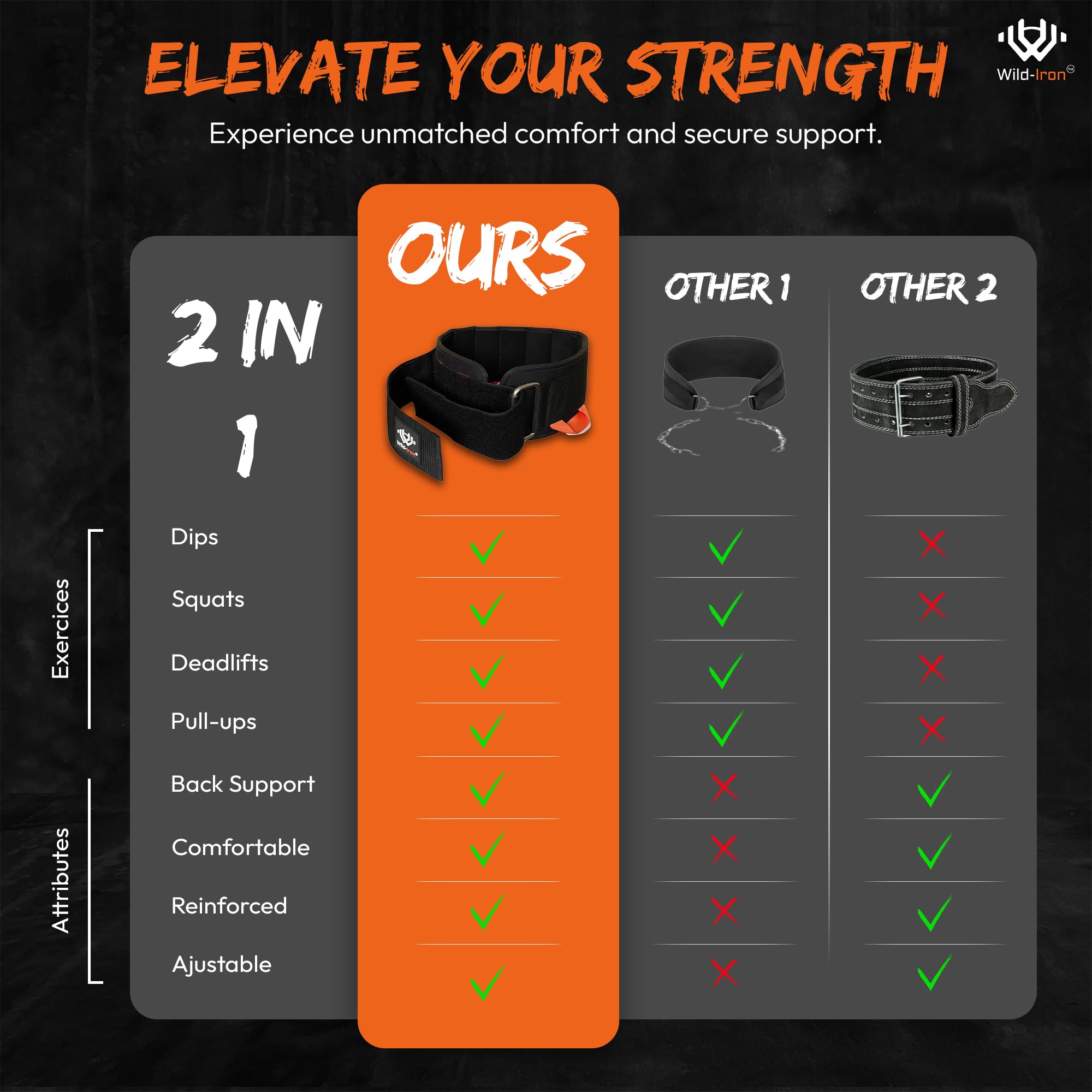 Wild-Iron 2-in-1 Gewichthebergürtel - Dip Gürtel Mit Kette Für Klimmzüge & Kreuzheben