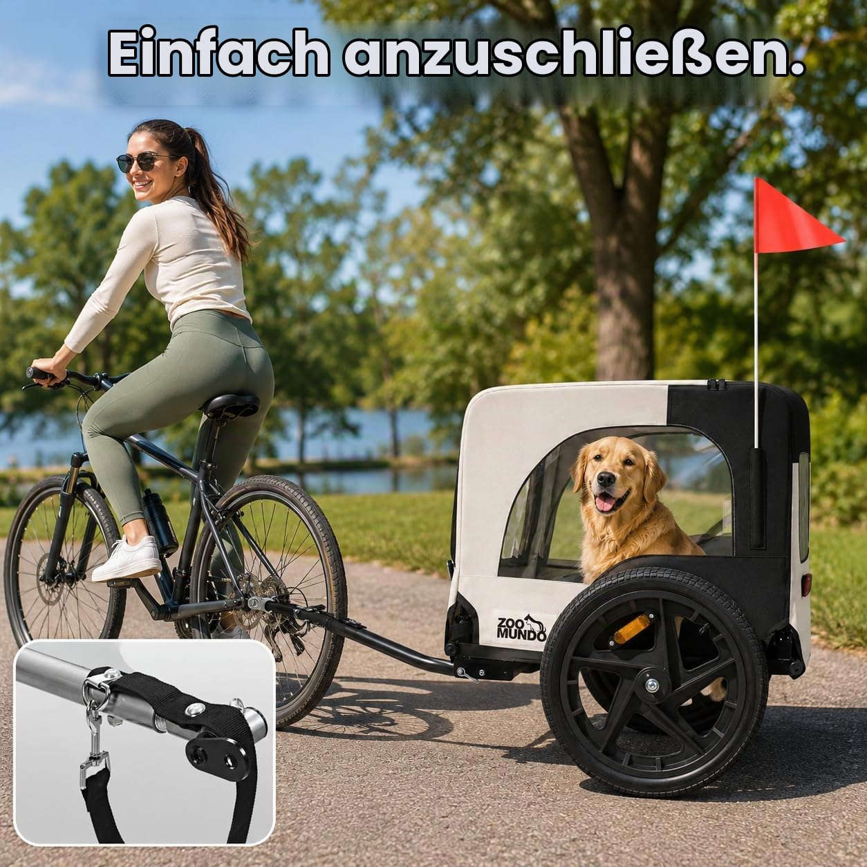 zoomundo Fahrradanhänger Hundeanhänger Transport - Jacky in Beige/Schwarz | Stabiler Hundeanhänger mit 15-Zoll-Luftreifen, 40 kg Zuladung, Regenschutz, Fliegengitter & klappbarem Rahmen.