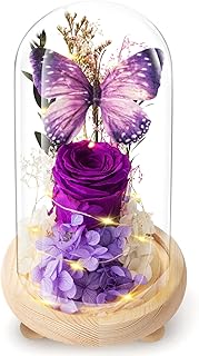 Forever Flowers Preserved Roses Prime Delivery, Romantic Gifts with Light in Glass Dome for Mom Grandma Wife Girlfriend, Purple Flower for Valentine's Day, Mother's Day, Anniversary, Birthday
