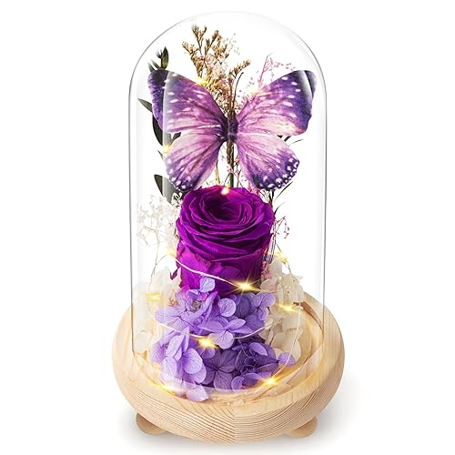 Forever Flowers Preserved Roses Prime Delivery, Romantic Gifts with Light