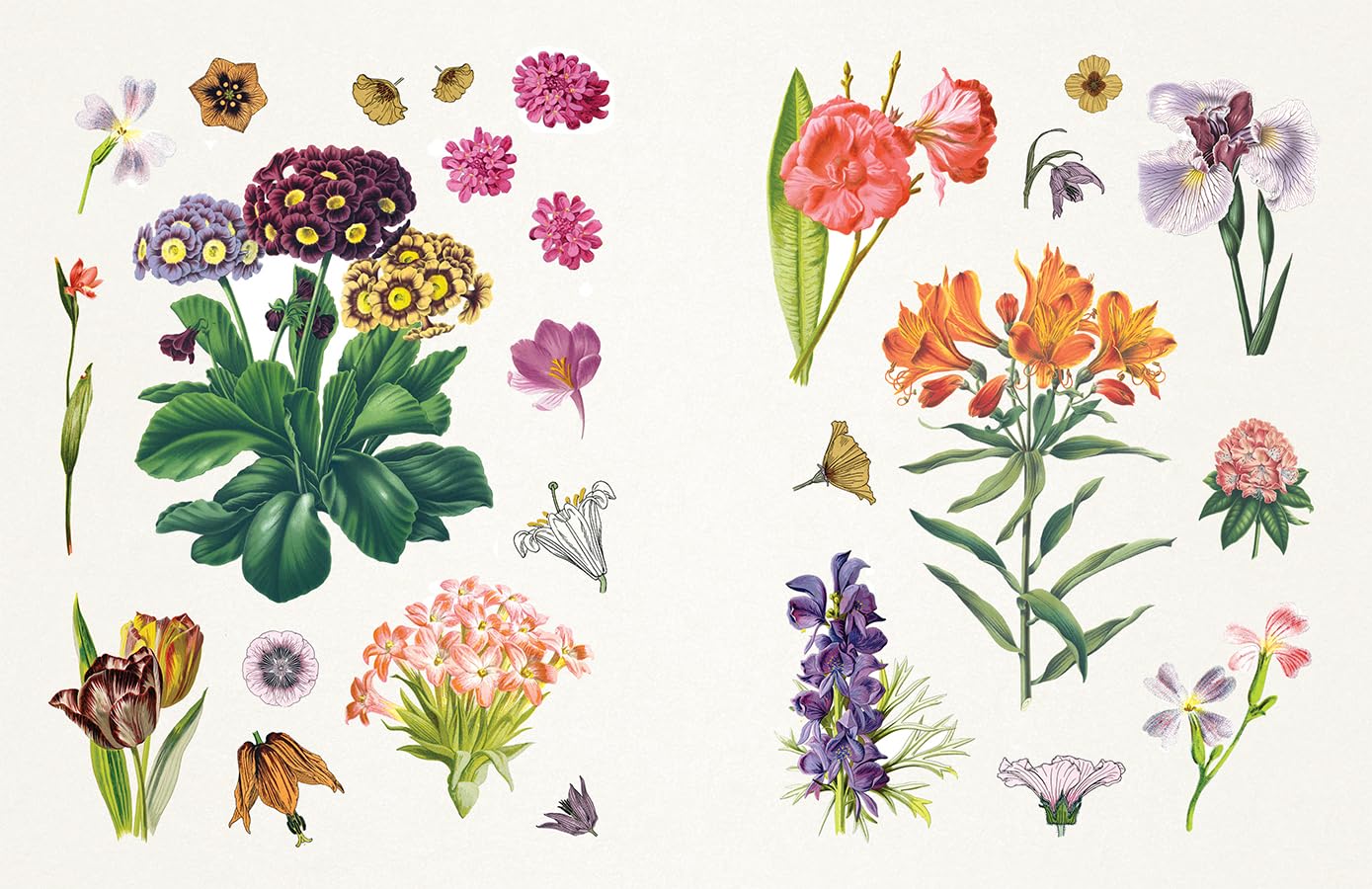 Sticker Emporium Floribunda