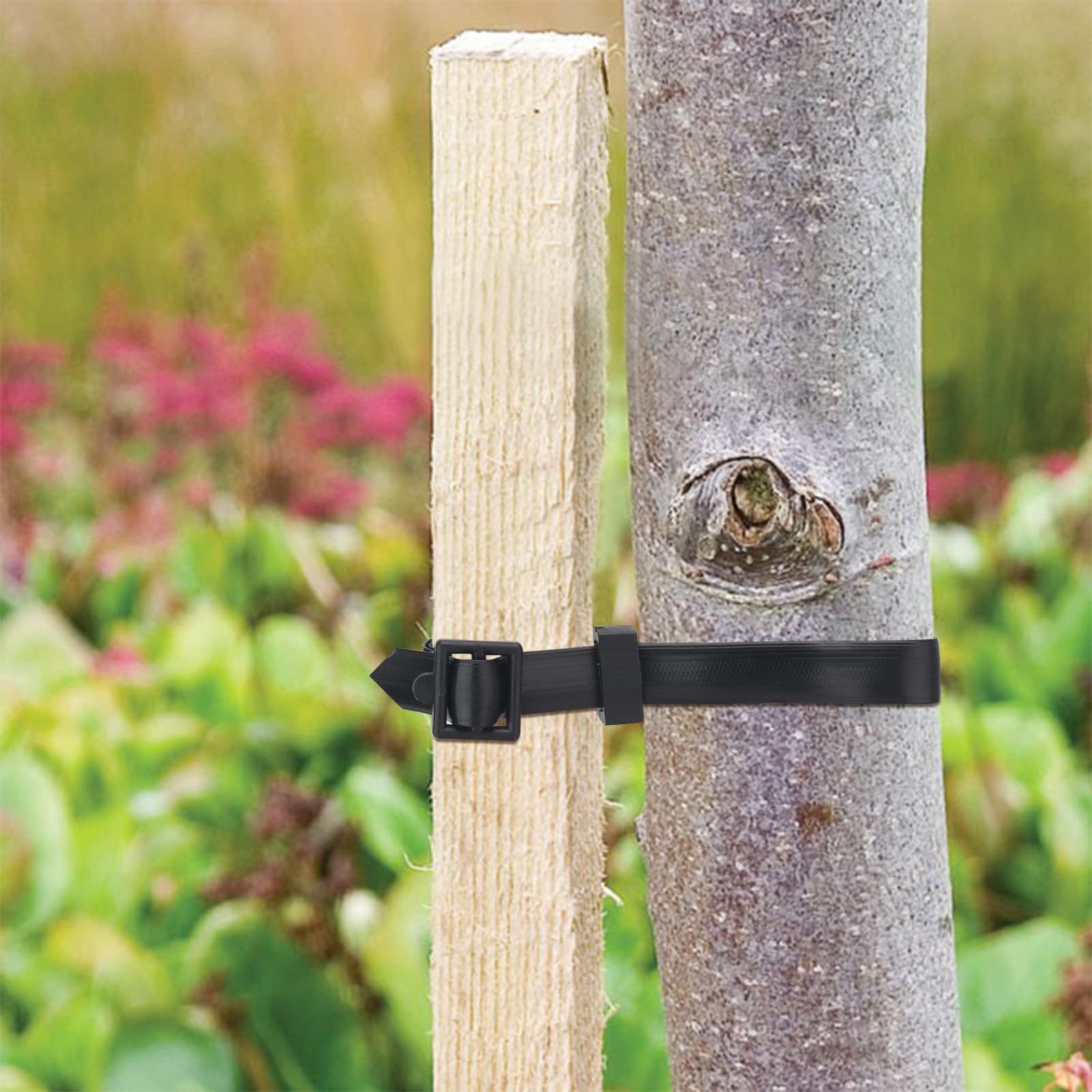KINGLAKE 4 Pièces 60 cm Attache pour Arbre Fruitier, Attaches Tuteur Arbre Résistantes et Réglables, Lien pour Attacher avec Boucle pour la Prise en Charge Arbustes