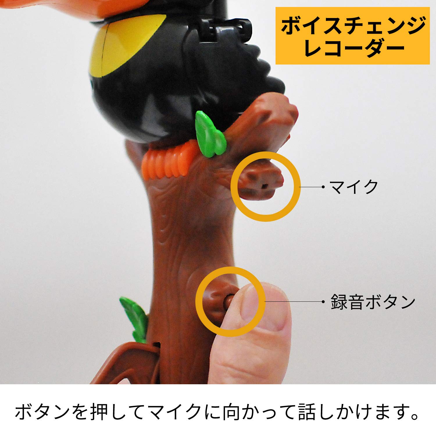 Amazon.co.jp: GENIAL(ジェニアル) Tookie Talkie トゥーキートーキー