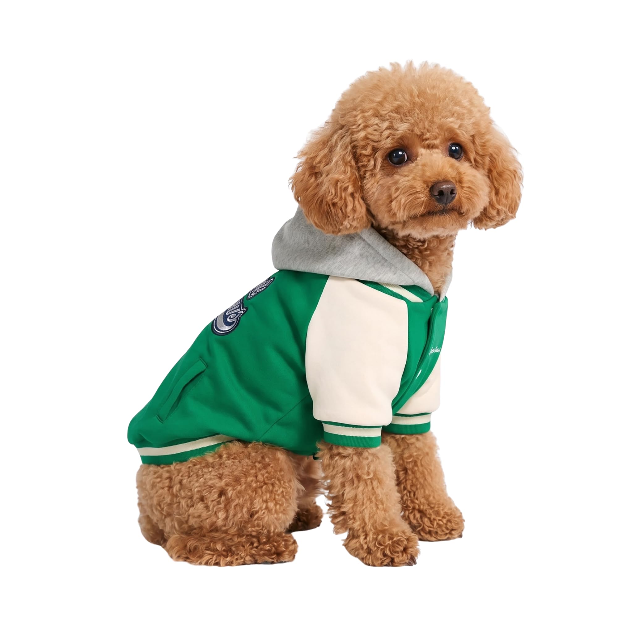 Spark Paws Varsity Dog Jacket - Dog Hoodie Winter Coat for Small Large Dogs