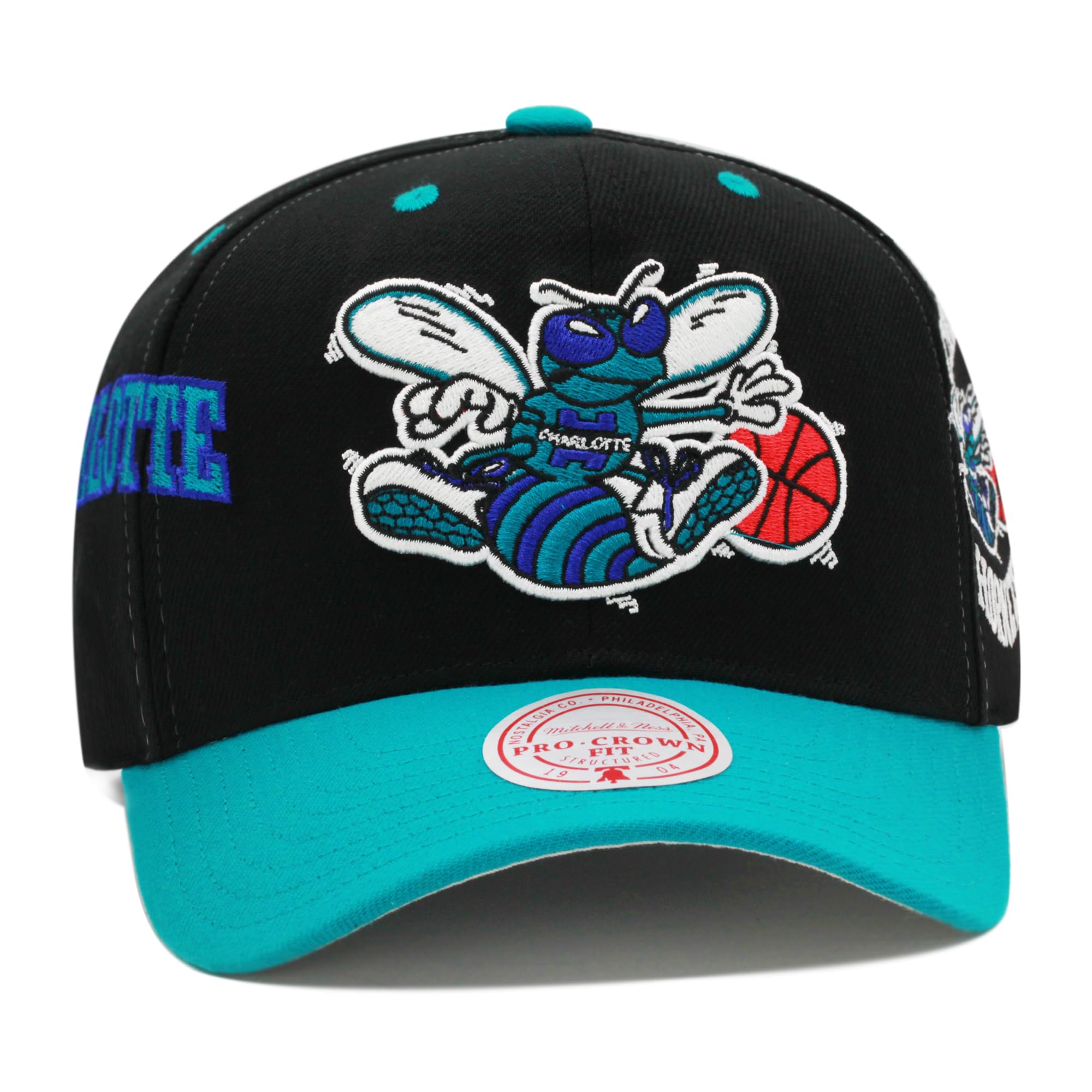 Mitchell & NessCharlotte Hornets Hardwood Classics NBA Overbite Pro Pre-Curved Snapback Hat Cap - Black
