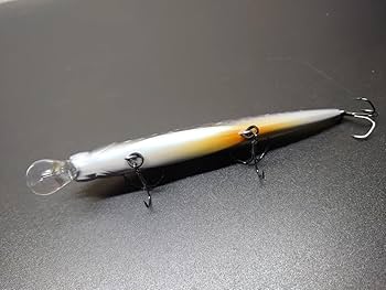 Amazon.co.jp: 〒230円メガバス ビジョン 110 エゾイワナ 限定 Amazon.co.jp: 〒230円メガバス ビジョン 110 エゾイワナ 限定