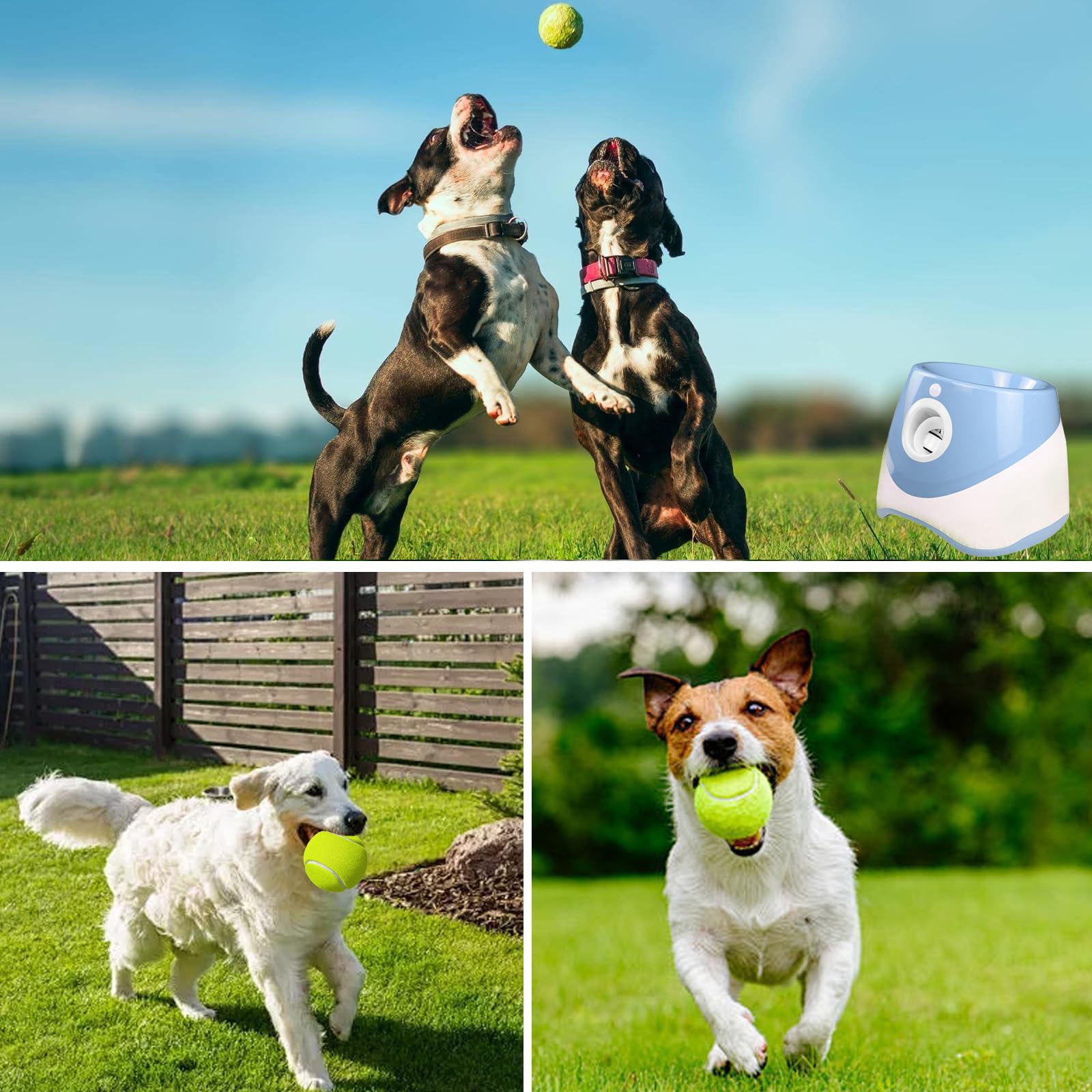 HAMON Lanceur de balles automatique pour chiens, machine à lancer des balles avec 6 balles de tennis, balle interactive pour chiens de petite et moyenne taille, portée de lancer entre 3-9 M