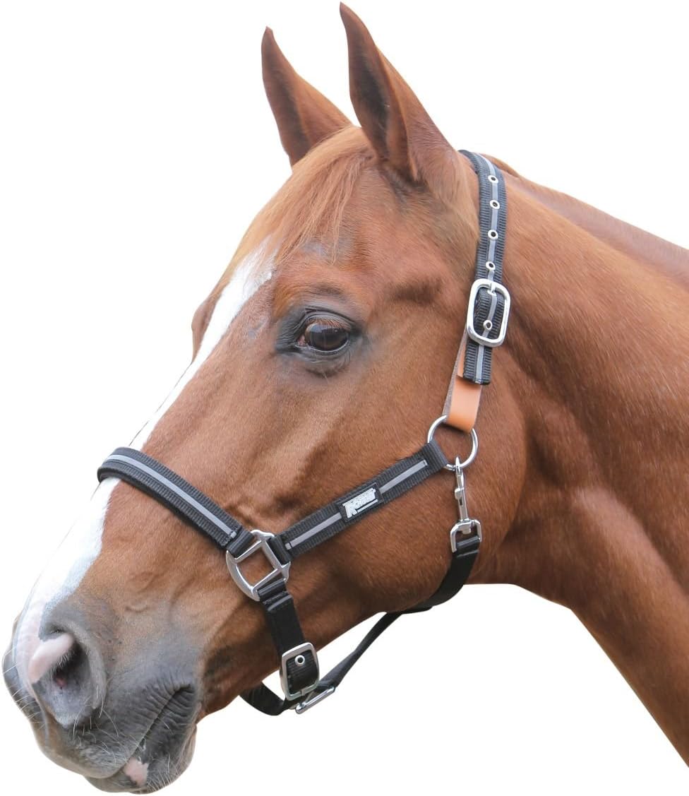 Roma Reflective Breakaway Halter Full Black