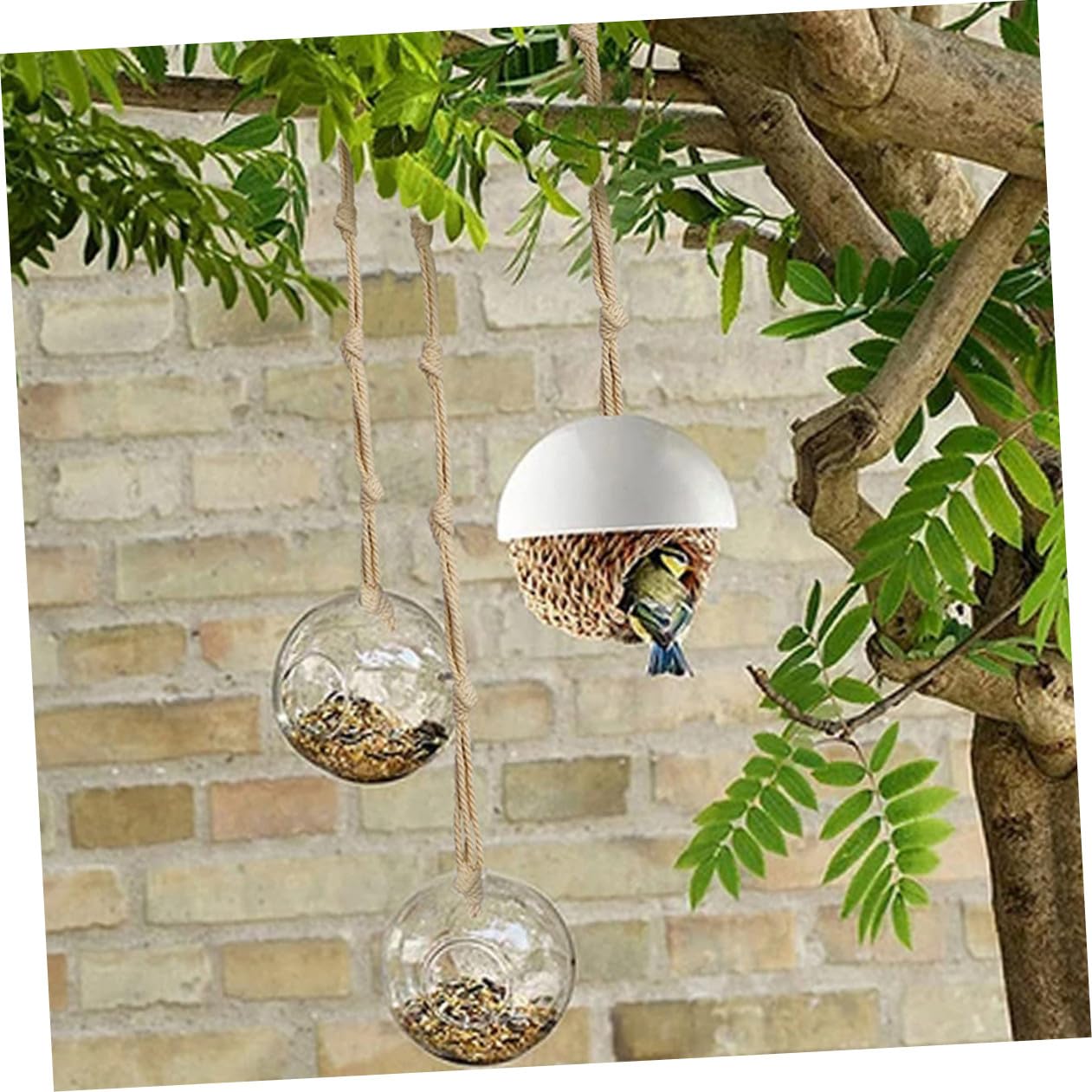 Hemobllo 3 Ensembles Holders De Pots Suspendus Macramé Corde Ajustable Pour Plantes Grimpantes Décoration Intérieure Extérieure Ropes De Suspension Robustes Élégantes 8 Pièces * 3