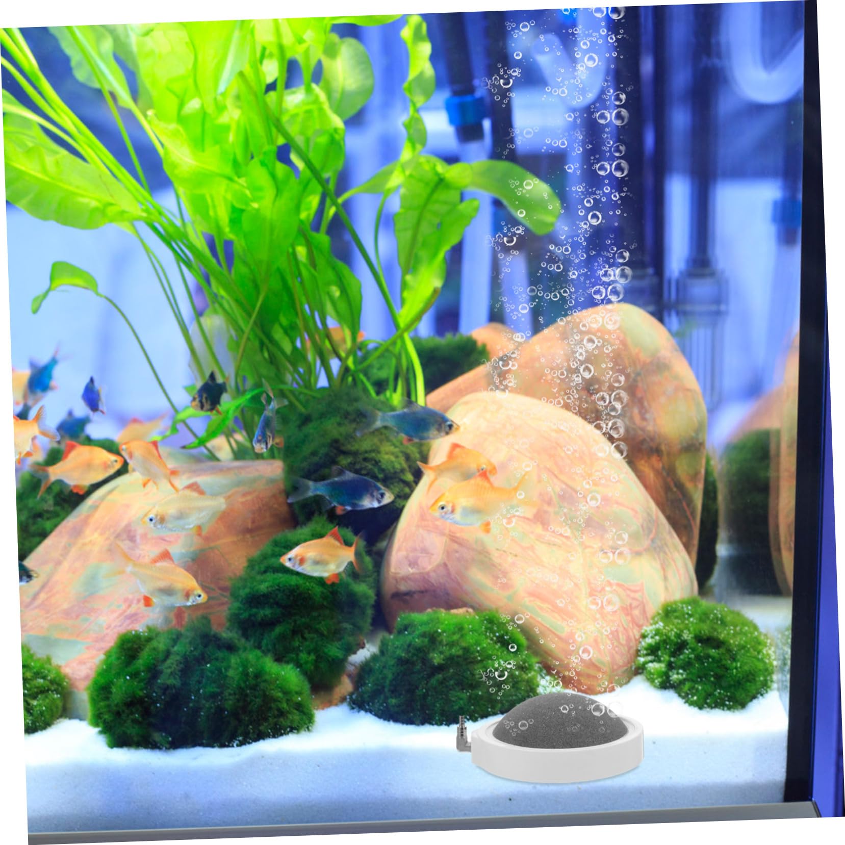 BESPORTBLE 2Pcs Akwaria Napowietrzająca Płyta Napowietrzająca Mała Bąbelk Kamień Aquarium Aquarium Air Bubbler Kamień Bąberzy Bąberek Akwarium Bubble Codziennie