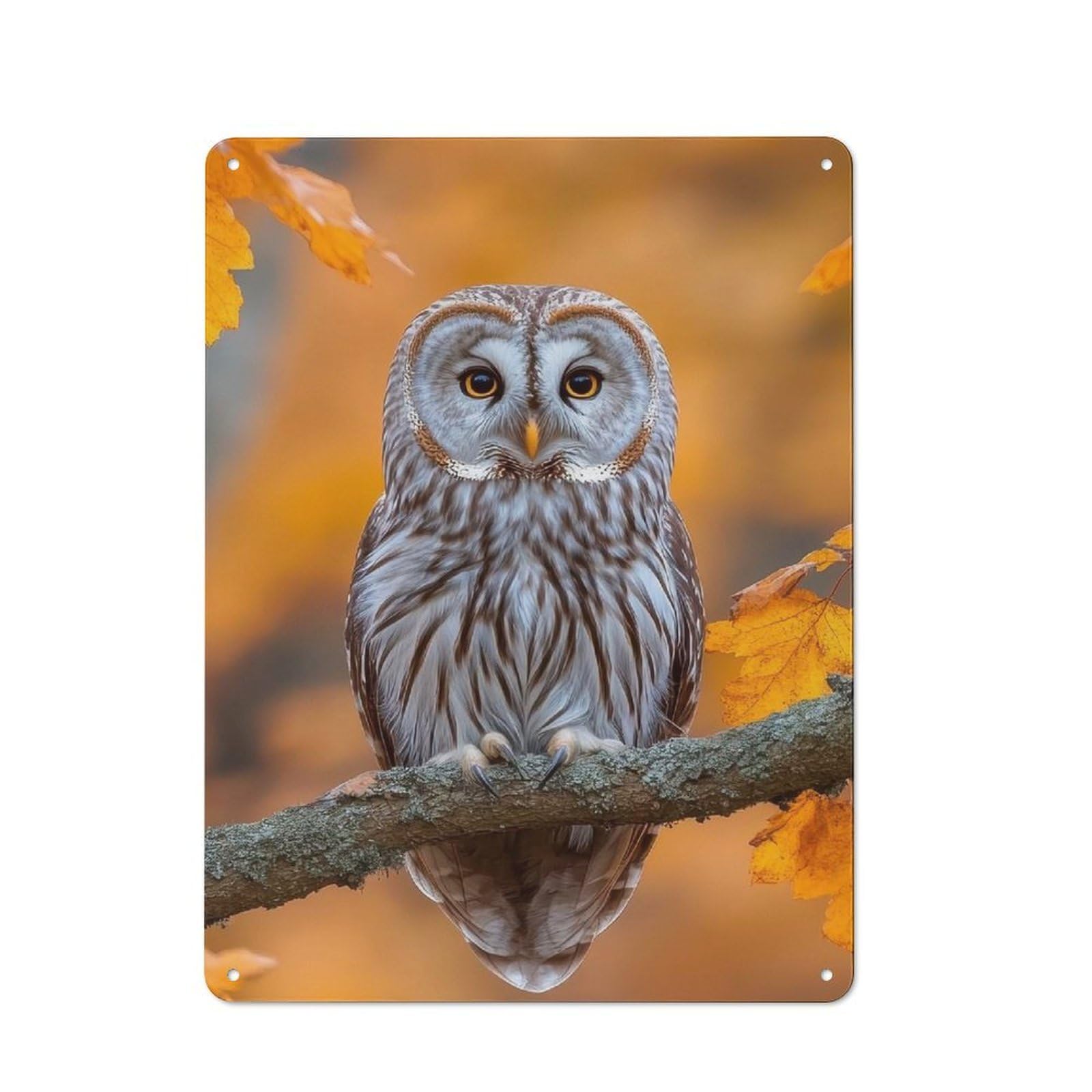 Junmoney Style-6 For Lounge Or Reading Corner, Owl Perched On Branch In Autumn Vintage Metal Sign 40X30cm, For Collectors Decorating Lounges And Reading Corners