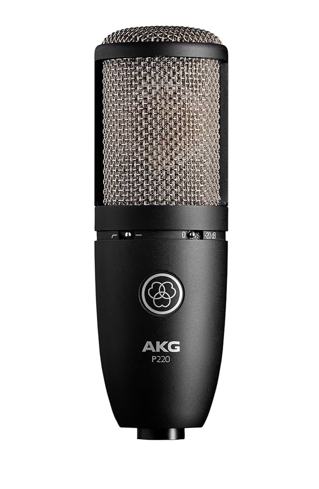 AKG ( アーカーゲー ) P220 コンデンサーマイク ケーブル付き AKG P220 P220 Vocal Condenser Microphone : Amazon.ca